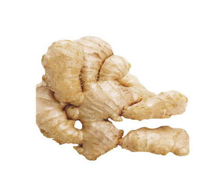 Ginger